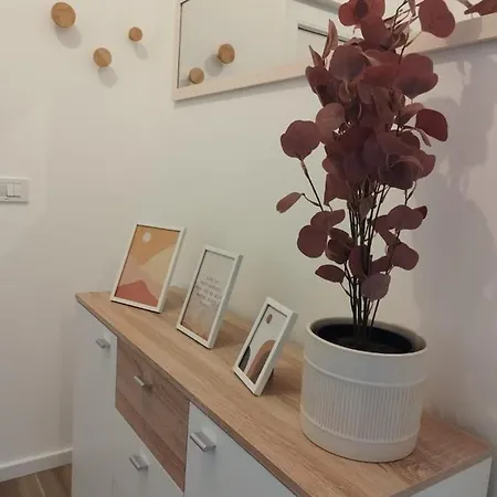 Willa Korkyra Seashell