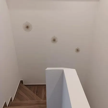 Korkyra Seashell Willa *